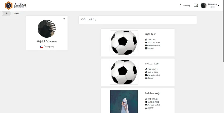 Uživatelský profil